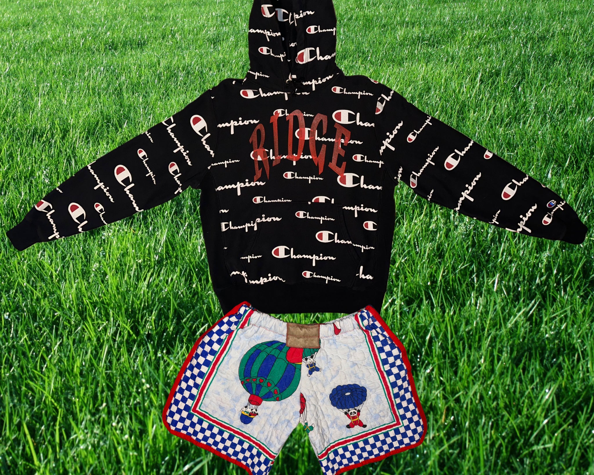 FLYING ANIMALS SET - HOODIE-MEDIUM

SHORTS-MEDIUM